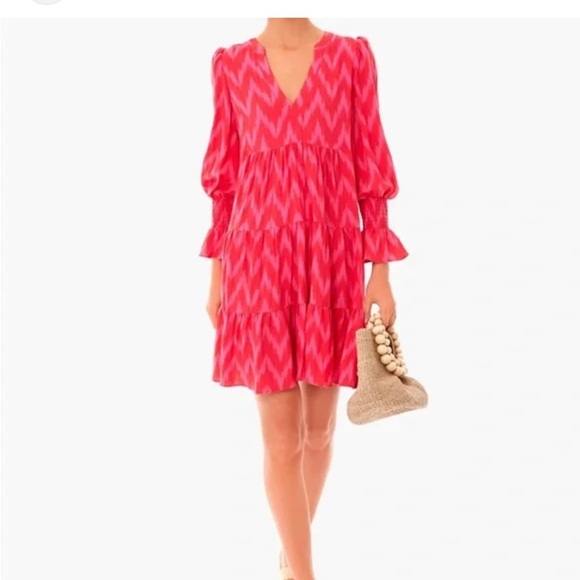 Pomander Place Hot Pink Ikat Kenzo Dress - Picture 9 of 10